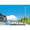 All in One LED Outdoor Street Light (DL0020)